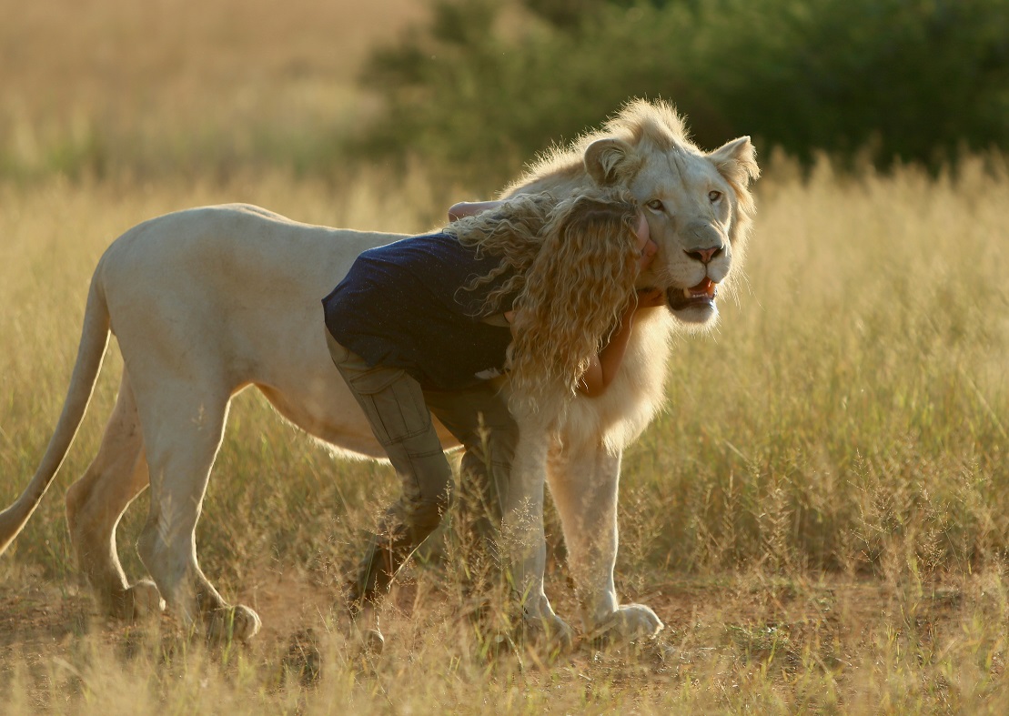 Mia and the white Lion Stills 4