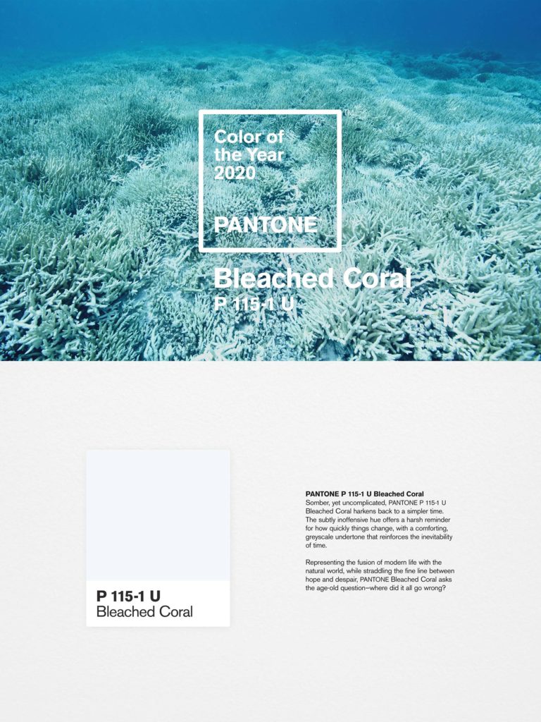 bleachedcoral