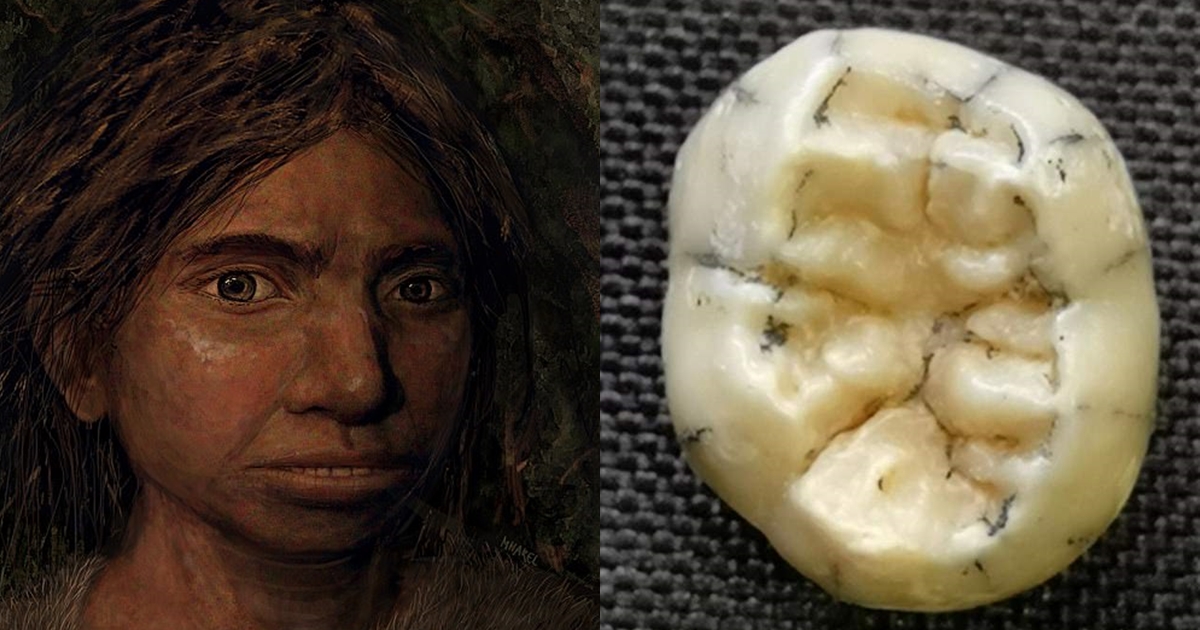 นักวิจัยพบฟันฟรามเด็กหญิงอายุกว่า 1.5 แสนปีที่ประเทศลาว เชื่อเป็นชาวแดนิโซแวนจากเทือกเขาอัลไต