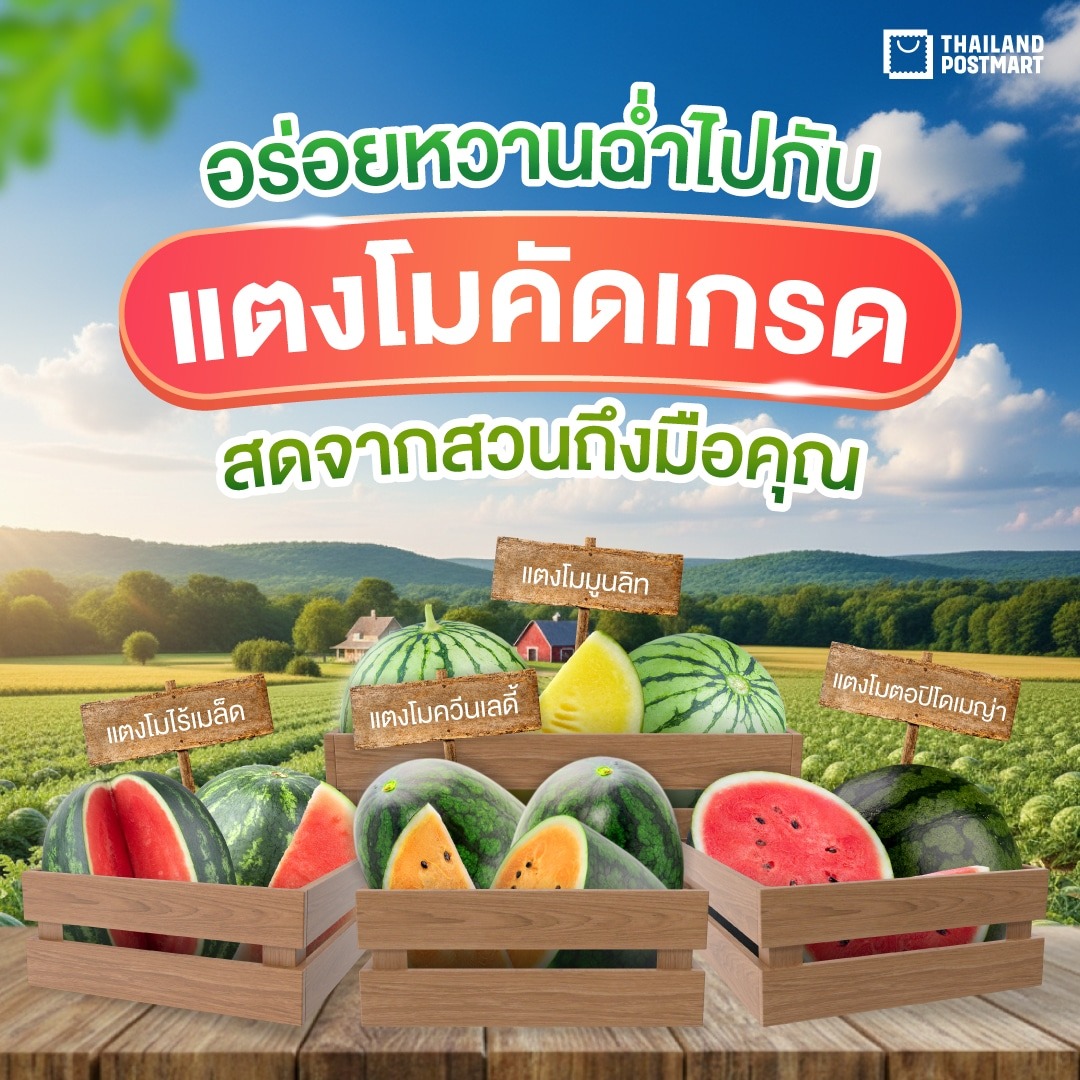 ต้อนรับหน้าร้อนแบบฉ่ำๆ ด้วยแตงโมหลากหลายสายพันธุ์ 💦 ที่ ThailandPostMart 1